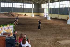 pilgrim-immersive-theater-25